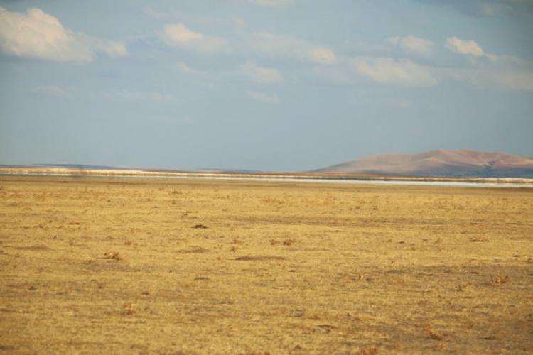 AS-ÇED Başkanı Mustafa Bağ: Seyfe Gölü tuz çölü