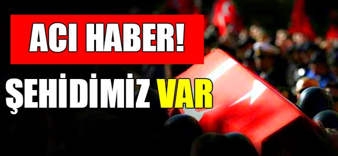 Zeytin Dalı Harekat Alanı'na hain saldırı