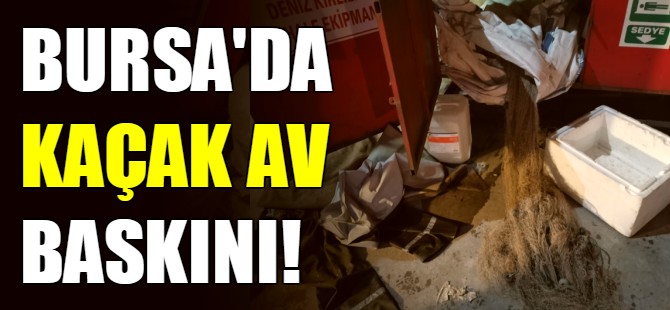 Bursa'da kaçak av baskını!
