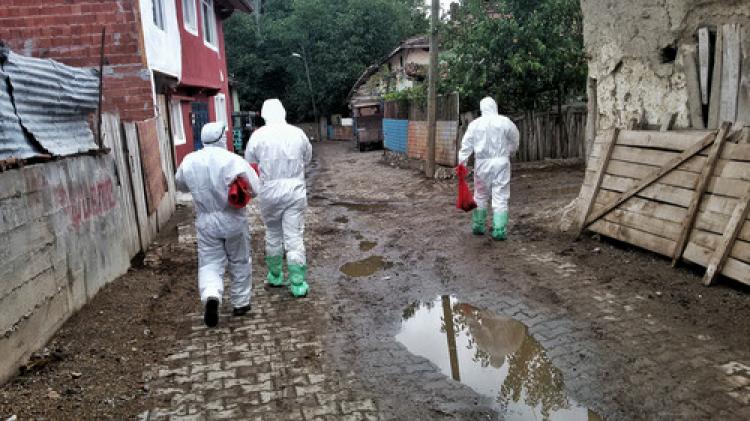 Tokat'ta kuş gribi paniği