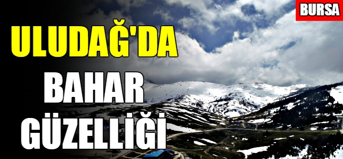 Uludağ ilkbaharda bir başka güzel!