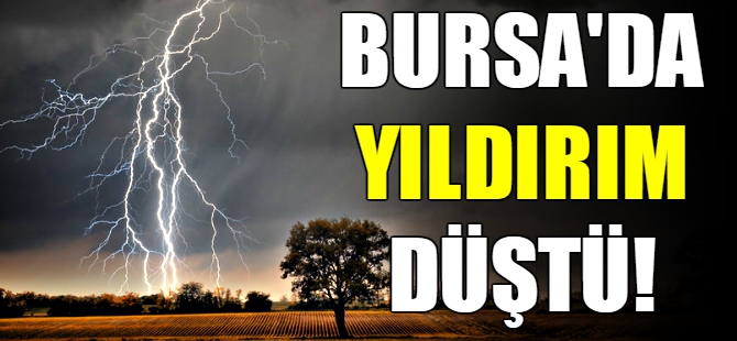 Bursa'da yıldırım düştü