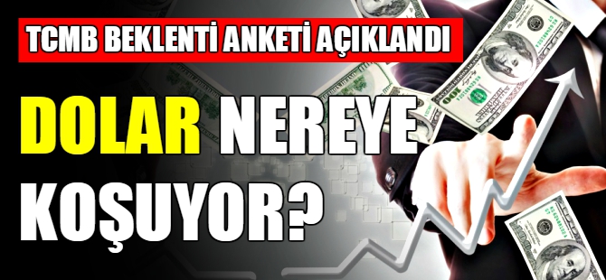 Dolar nereye koşuyor?