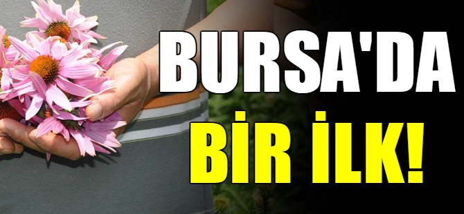 Bursa'da ilk kez yetiştirilecek