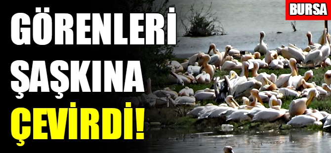 Bursa'ya ilk kez geldiler!