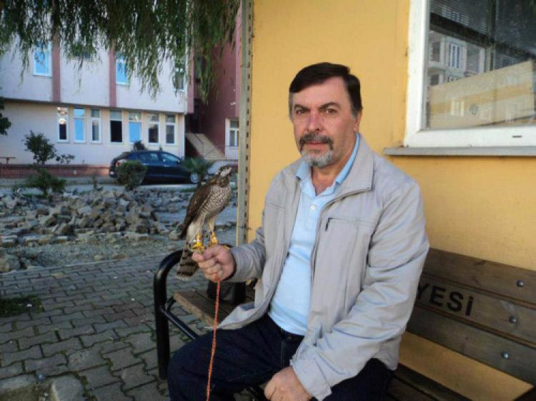 Arhavi'de beyaz atmaca yakaladı