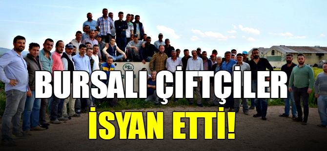 Bursalı çiftçiler isyan etti