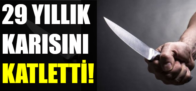 Koca dehşeti