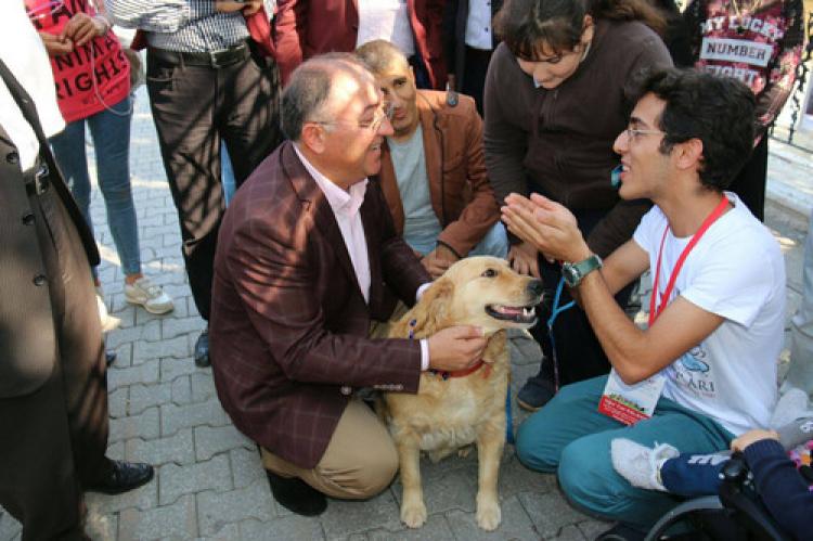 ‘Sevgi Patileri’ resim sergisi açıldı