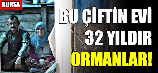 Bursa'da 32 yıldır ormanda yaşıyorlar