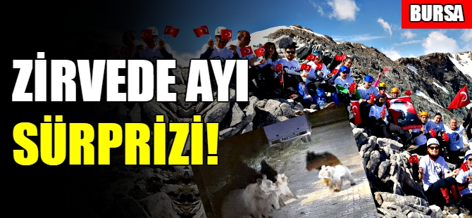 Bursa'da ayı sürprizi!