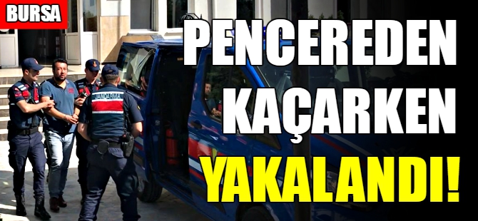 Bursa'da 'suç makinesi' yakalandı