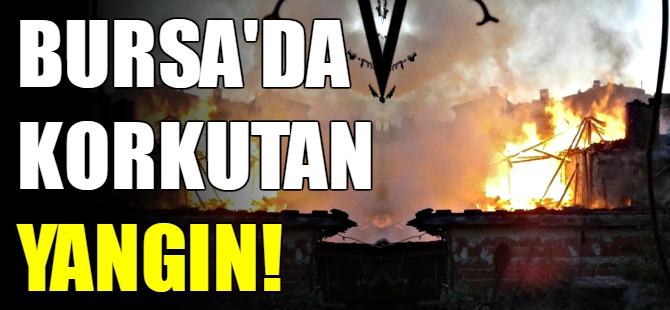 Bursa'da yangın