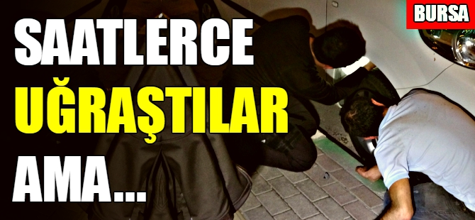 Bursa'da kedi kurtarma operasyonu