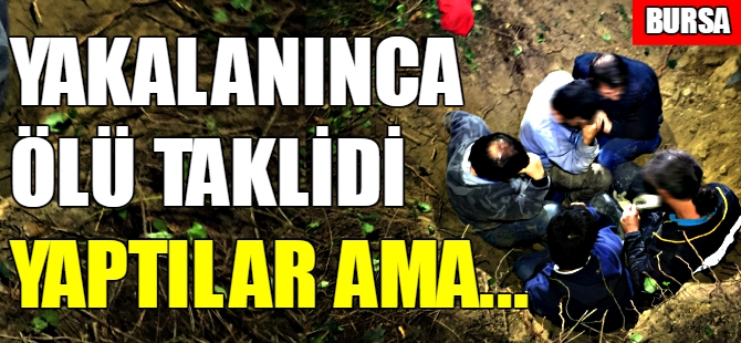 Bursa'da kaçak define avı