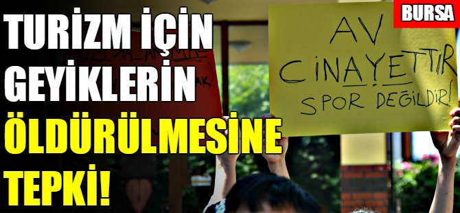 Bursa'da geyiklerin ihaleye çıkmasına tepki