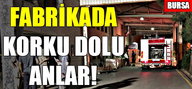 Bursa'da fabrika yangını!