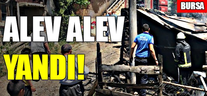 Bursa'da yangın
