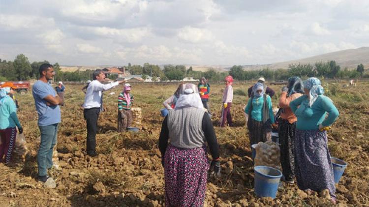 Tarım işçilerinden sosyal güvence isyanı