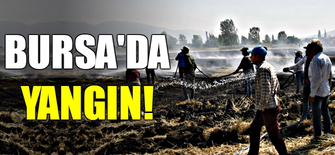 Bursa'da yangın!