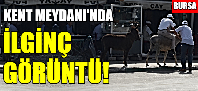 Bursa'nın göbeğinde ilginç görüntü!