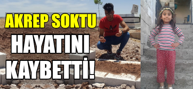 Akrep soktu hayatını kaybetti