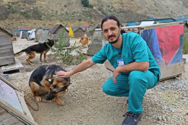 Yazlıkçılar, köpeklerini sokağa terk etti