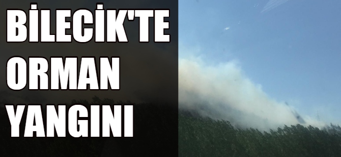 Bilecik'te orman yangını