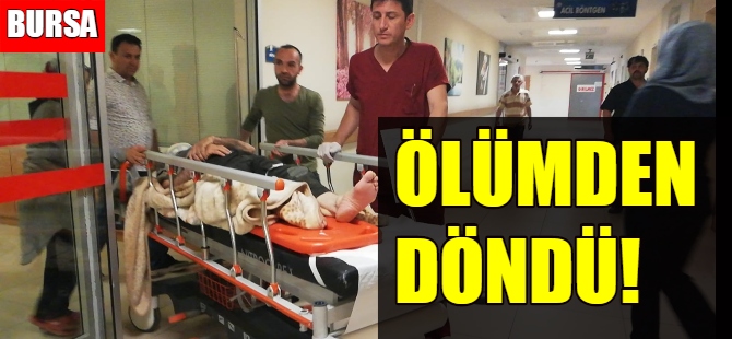 Ihlamur toplarken ağaçtan düştü