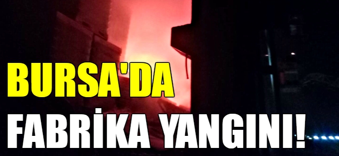 Bursa'da fabrika yangını!