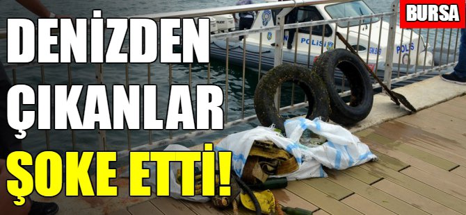 Bursa'da denizden çıkanlar şoke etti!