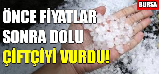 Bursa'lı çiftçiyi dolu vurdu!