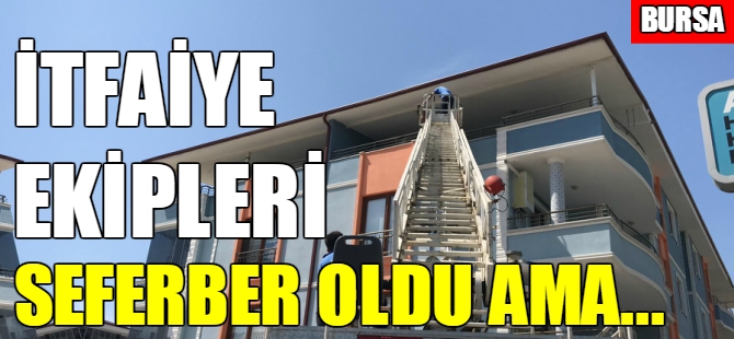 Bursa'da papağan alarmı!