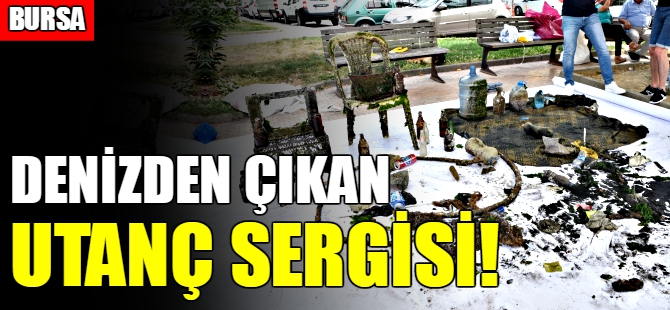 Bursa'da denizden çıkan utanç sergisi
