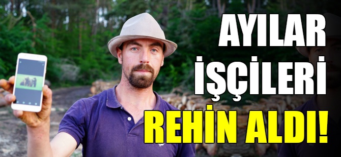 Ayılar işçileri rehin aldı!