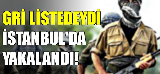 Gri kategoride aranan terörist yakalandı