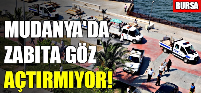 Mudanya'da zabıta göz açtırmıyor!