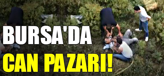 Bursa'da can pazarı