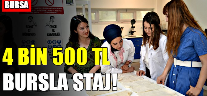 Bursa'da 4 bin 500 TL bursla staj