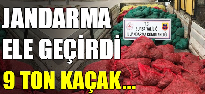 Jandarmadan 'midye' operasyonu