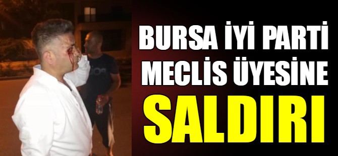 İYİ Parti meclis üyesine saldırı