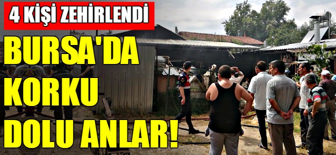Bursa'da yangın!
