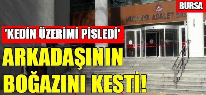 Kedi yüzünden arkadaşının boğazını kesti!