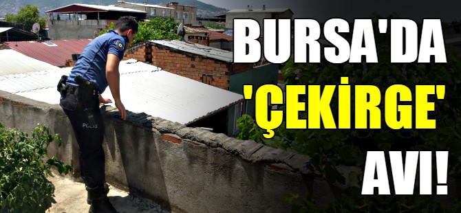 Bursa polisinden filmleri aratmayan hırsız kovalaması
