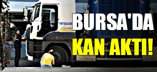 Bursa'da yolda karşılaştığı husumetlisini vurdu!