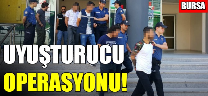 Bursa’da 1 kilo bonzai ele geçirildi
