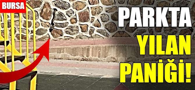 Bursa'da parkta yılan paniği