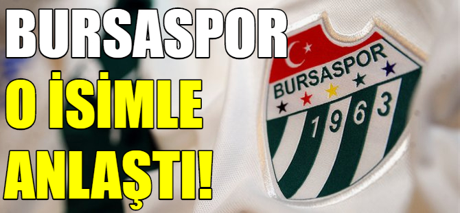 Bursaspor'da teknik direktör arayışı