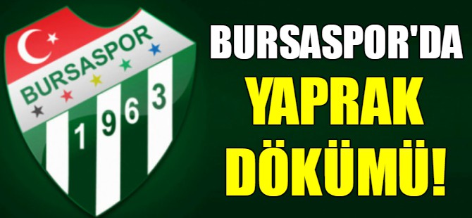 Bursaspor'da yaprak dökümü