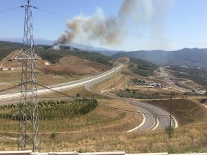 Bursa'da orman yangını